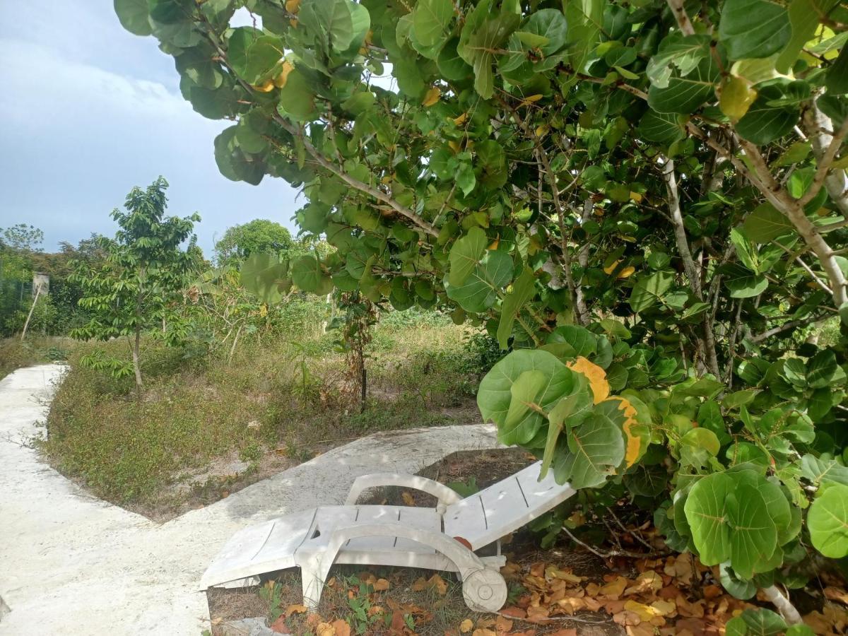 "Le Champs" Des Oiseaux Villa Anse-Bertrand Dış mekan fotoğraf