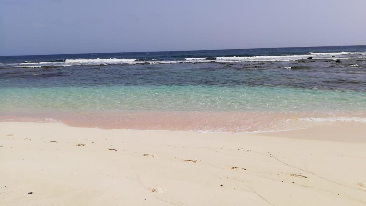 "Le Champs" Des Oiseaux Villa Anse-Bertrand Dış mekan fotoğraf