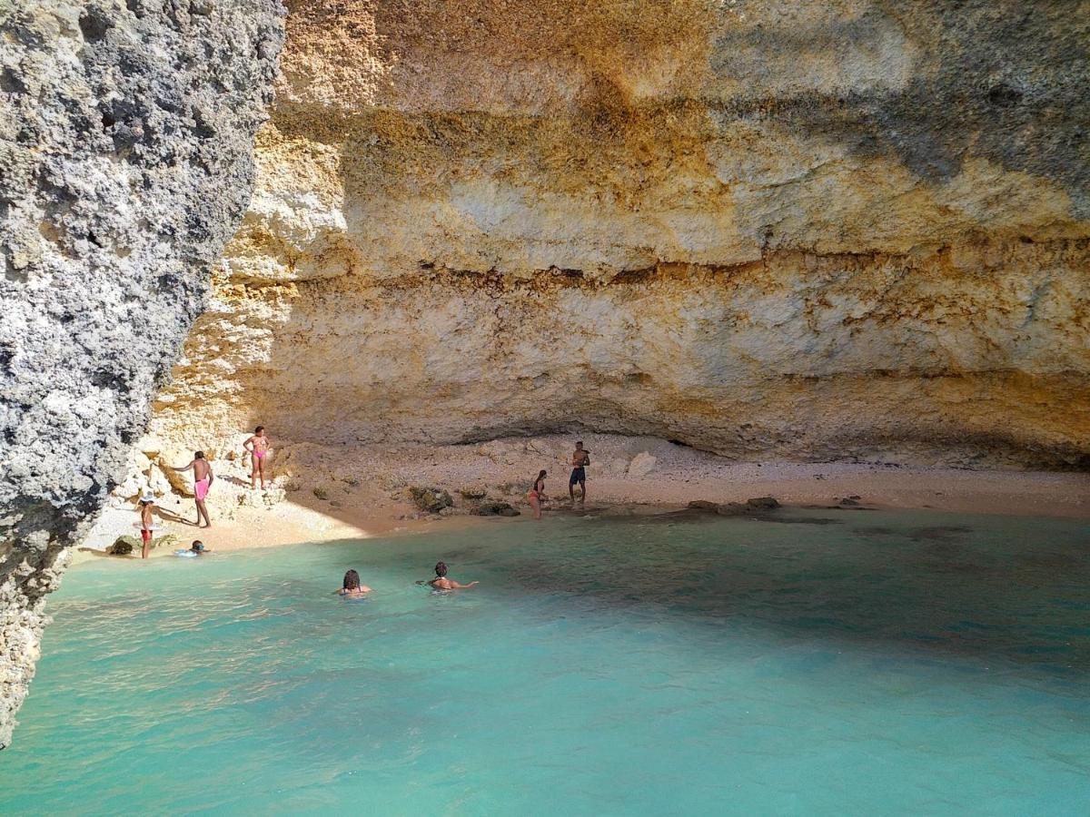 "Le Champs" Des Oiseaux Villa Anse-Bertrand Dış mekan fotoğraf